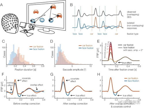 思影科技眼動數(shù)據(jù)處理服務(wù)與軟件開發(fā)，賦能精準(zhǔn)視覺洞察